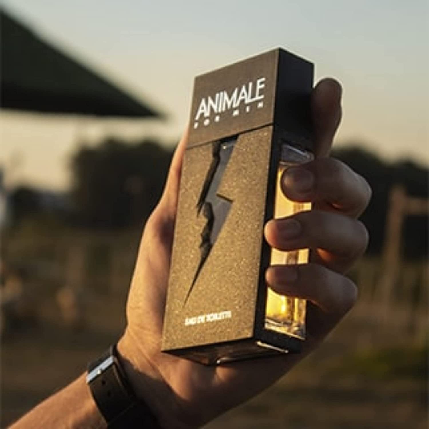 Animale For Men - Profumo per uomini